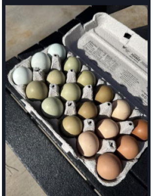 One and a Half Dozen Eggs (18 pack)